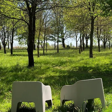 Chez Brunet chambres d'hôtes Lagraulet-du-Gers Extérieur photo